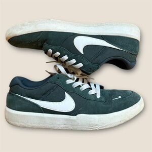 Nike SB Zoom Court Borough trainers in green and white